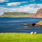 Two sheep graze on a grassy cliff overlooking the ocean, with rugged coastal cliffs and blue sky in the background.